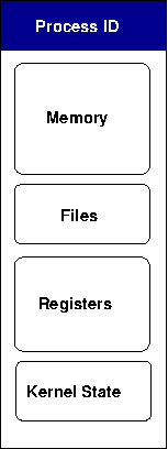 The essential elements of a process; the process ID, memory, files and registers.